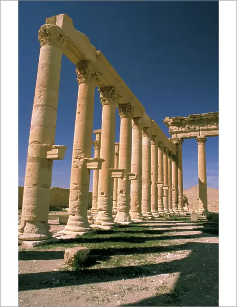 Asia, Syria, Palmyra. Temple of Bel