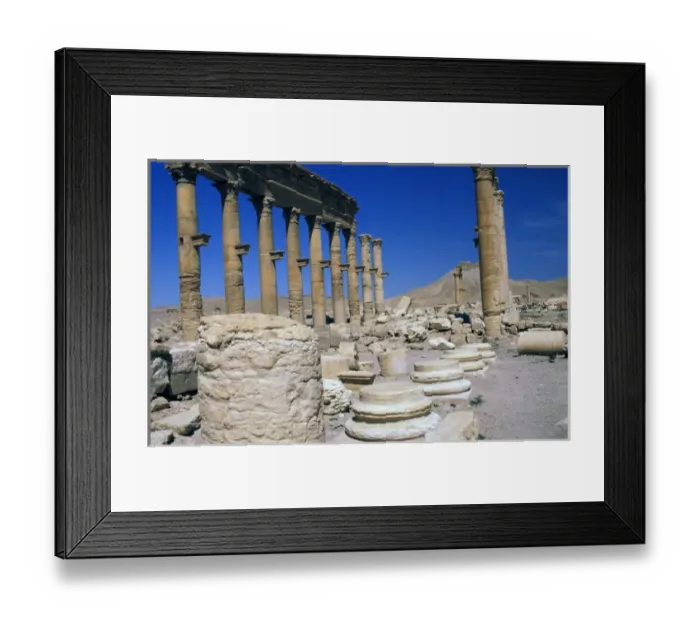 Framed Print : Asia, Syria, Palmyra. Colonnade and Arab castle