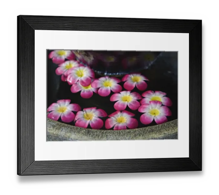 Framed Print : Flowers floating in fountain, Bangkok, Thailand Framed Print : Flowers floating in fountain, Bangkok, Thailand