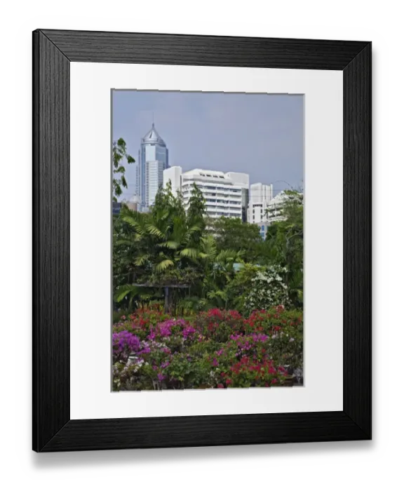 Framed Print : Flowers and skyline, Bangkok, Thailand Framed Print : Flowers and skyline, Bangkok, Thailand