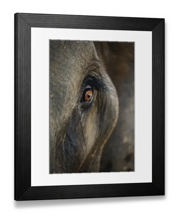 Framed Print : Asia, Thailand