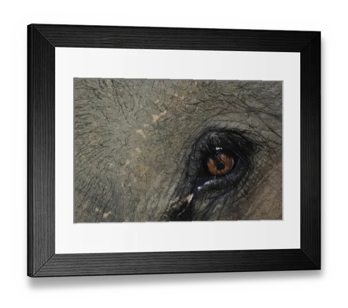 Framed Print : Asia, Thailand Framed Print : Asia, Thailand