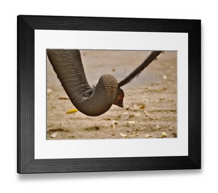 Framed Print : Asia, Thailand Framed Print : Asia, Thailand