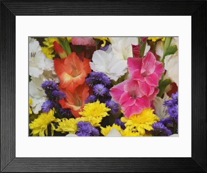 Framed Print : Bouquet of Gladiolus, Chrysanthemum, and aster flowers on altar of Buddha, Chiang Mai Framed Print : Bouquet of Gladiolus, Chrysanthemum, and aster flowers on altar of Buddha, Chiang Mai