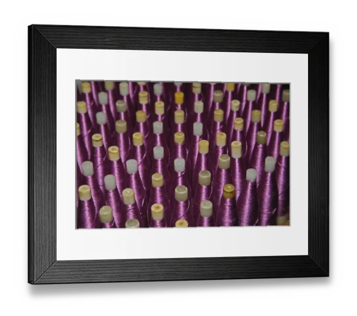 Framed Print : Purple silk thread wound on bobbins stacked in rows at a silk weaving factory, Chiang Mai