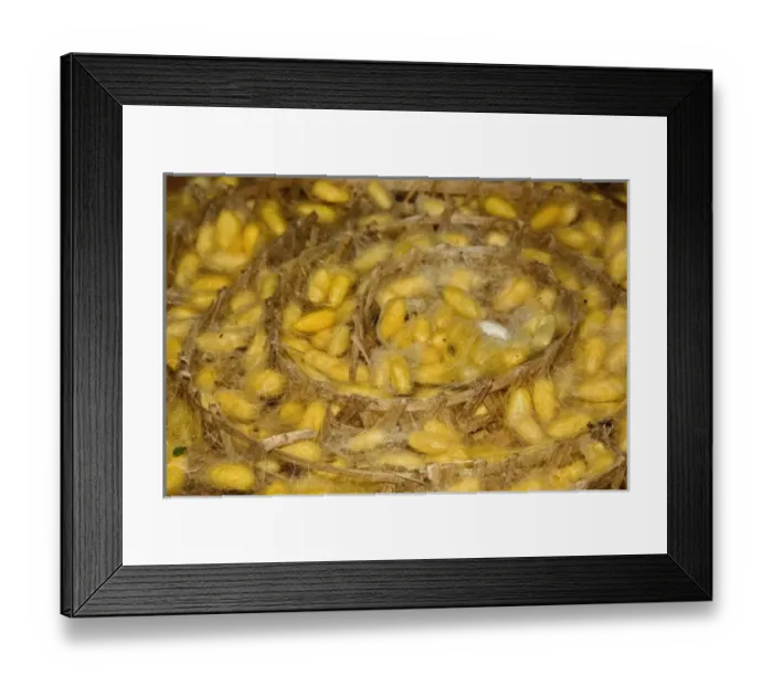 Framed Print : Asia, Thailand Framed Print : Asia, Thailand