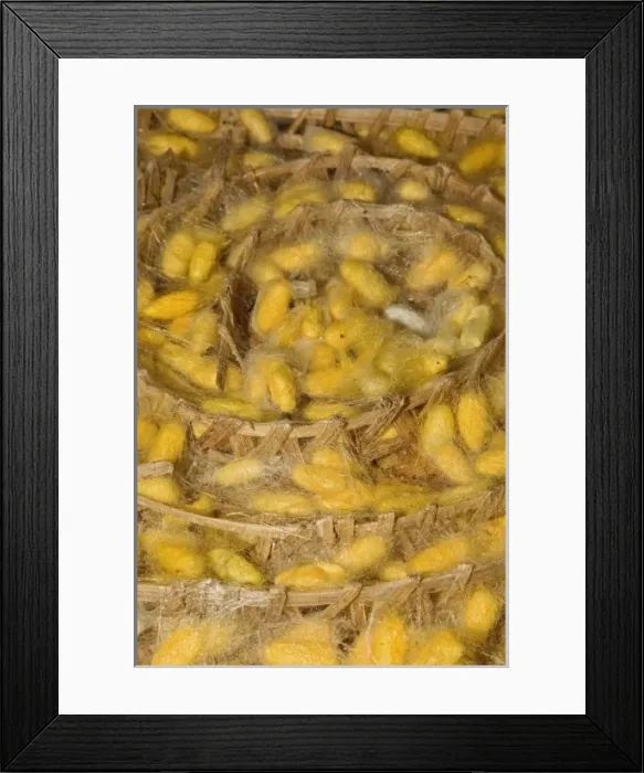 Framed Print : Asia, Thailand Framed Print : Asia, Thailand
