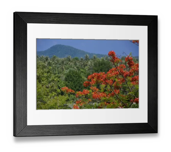 Framed Print : Thailand, Phuket. Thailands largest island. Lush tropical countryside views from Promthep Cape
