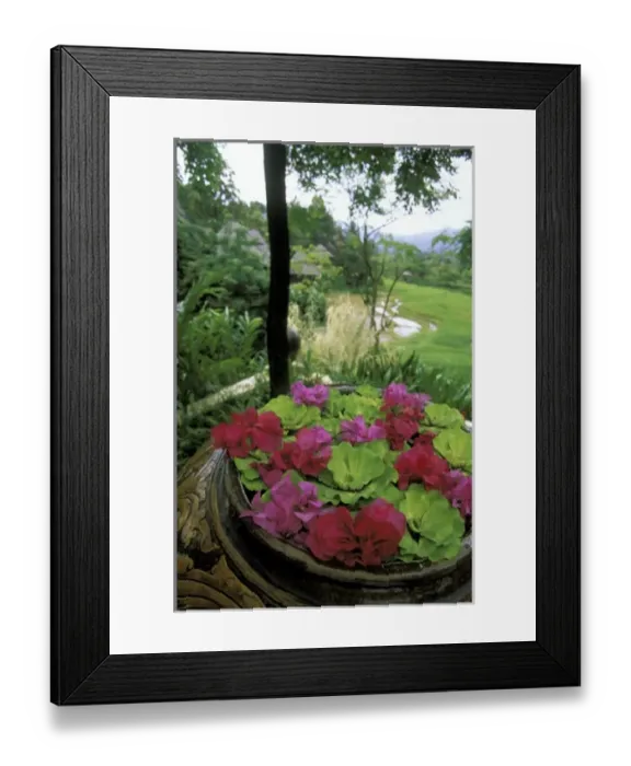 Framed Print : Thailand, Chiangmai. Grounds of Regent Resort Framed Print : Thailand, Chiangmai. Grounds of Regent Resort