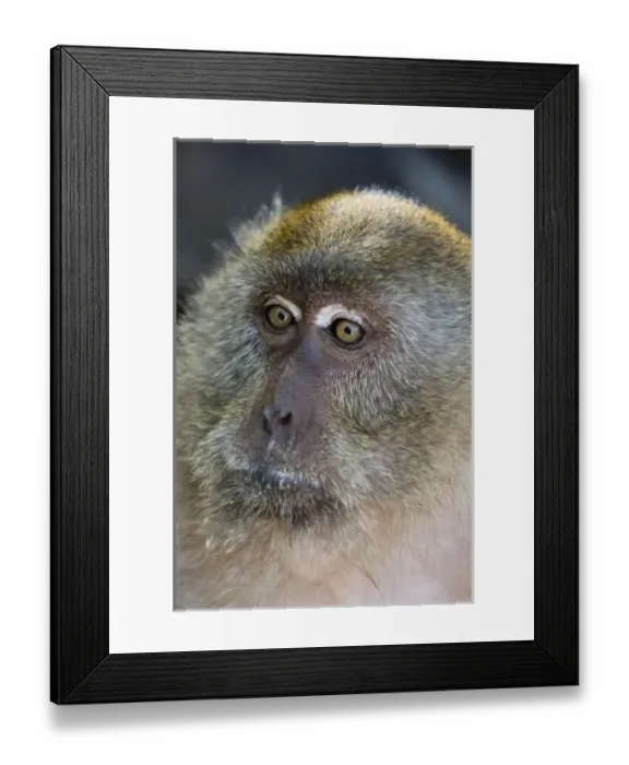Framed Print : Asia, Thailand Framed Print : Asia, Thailand