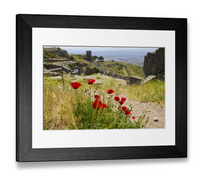 Framed Print : Asia, Turkey