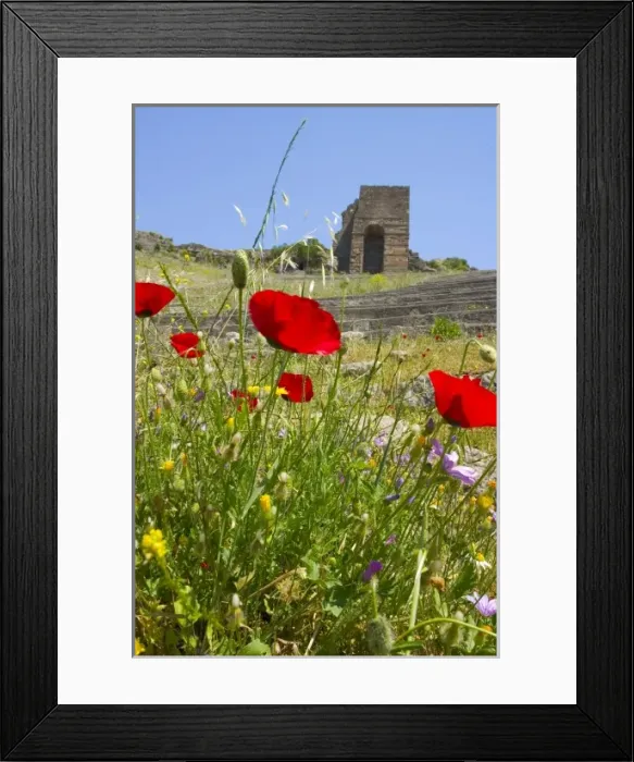 Framed Print : Asia, Turkey Framed Print : Asia, Turkey