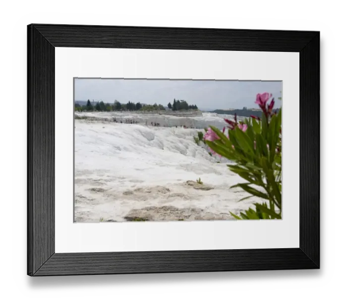 Framed Print : View of the travertine rocks with tourists and oleander, Pamukkale (ancient Hierapolis) Framed Print : View of the travertine rocks with tourists and oleander, Pamukkale (ancient Hierapolis)