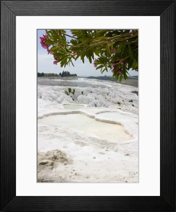 Framed Print : View of the travertine rocks with tourists and oleander, Pamukkale (ancient Hierapolis)