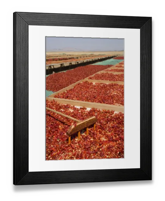 Framed Print : Red peppercorns, sun-dried, southeast Anatolia, Turkey Framed Print : Red peppercorns, sun-dried, southeast Anatolia, Turkey