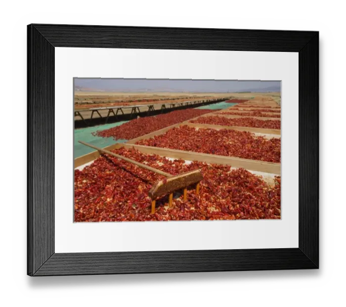 Framed Print : Red peppercorns, sun-dried, southeast Anatolia, Turkey