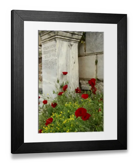 Framed Print : Asia, Turkey Framed Print : Asia, Turkey