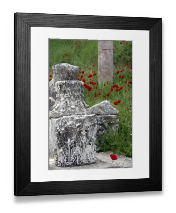 Framed Print : Europe, Turkey, Ephesus. Ruins of ancient Ephesus Framed Print : Europe, Turkey, Ephesus. Ruins of ancient Ephesus