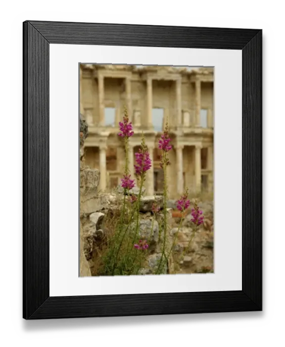 Framed Print : Asia, Turkey