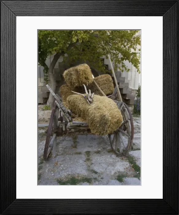 Framed Print : Asia, Turkey Framed Print : Asia, Turkey