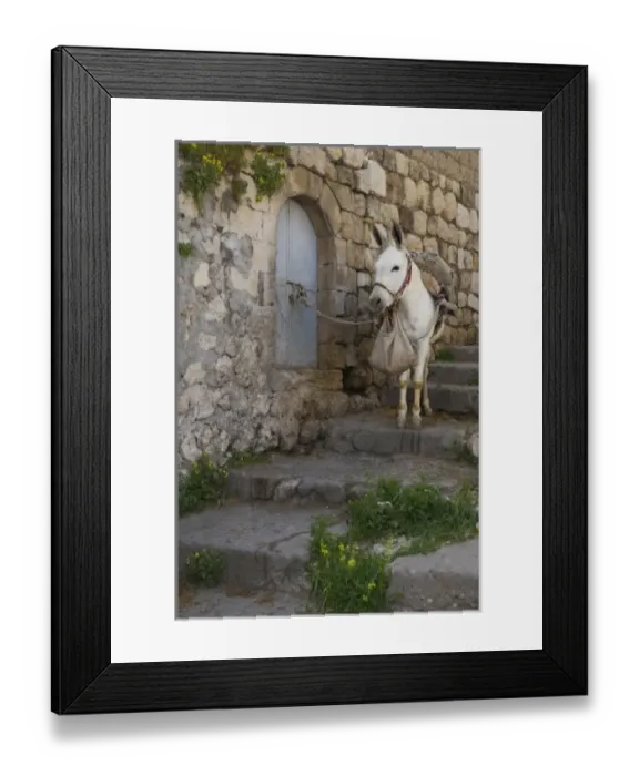 Framed Print : Asia, Turkey Framed Print : Asia, Turkey