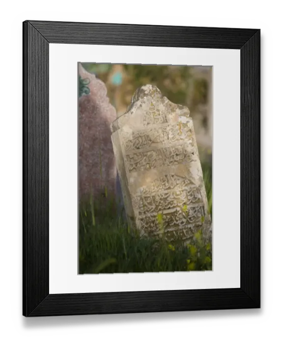 Framed Print : Asia, Turkey