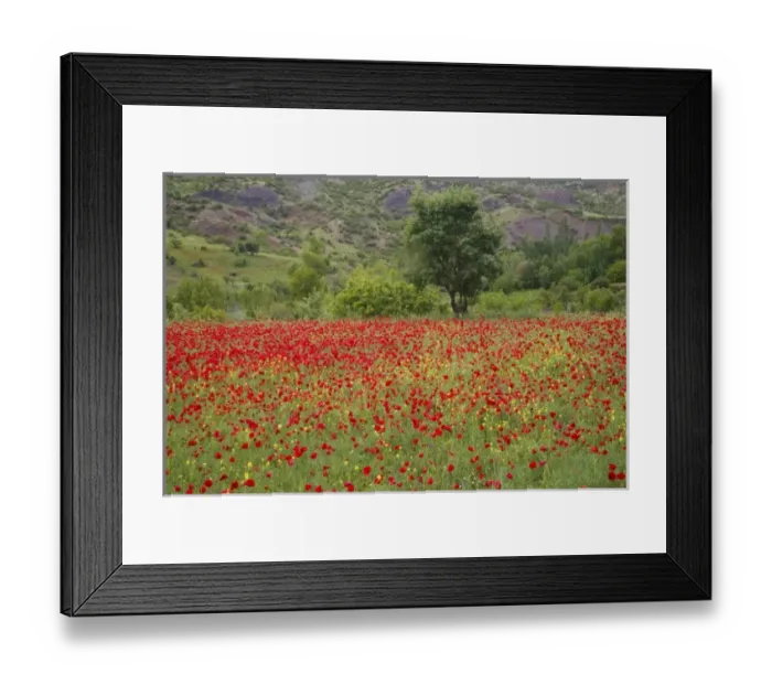 Framed Print : Asia, Turkey Framed Print : Asia, Turkey