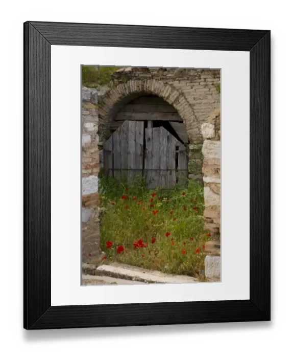 Framed Print : Asia, Turkey