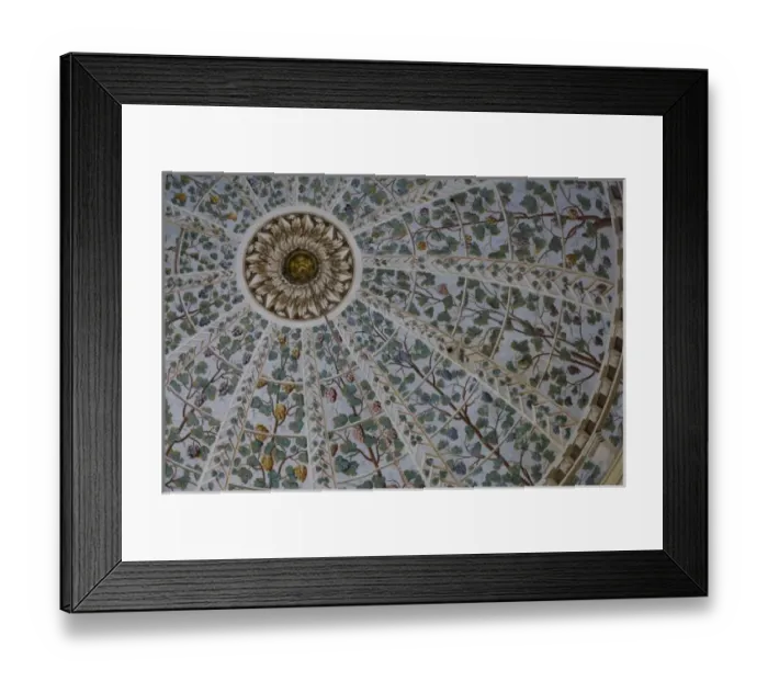 Framed Print : Middle East Turkey and city of Istanbul and the Topkapi Palace and the Harem during