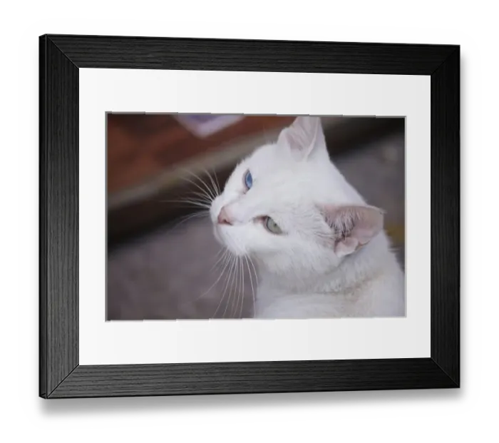 Framed Print : Istanbul, Turkey