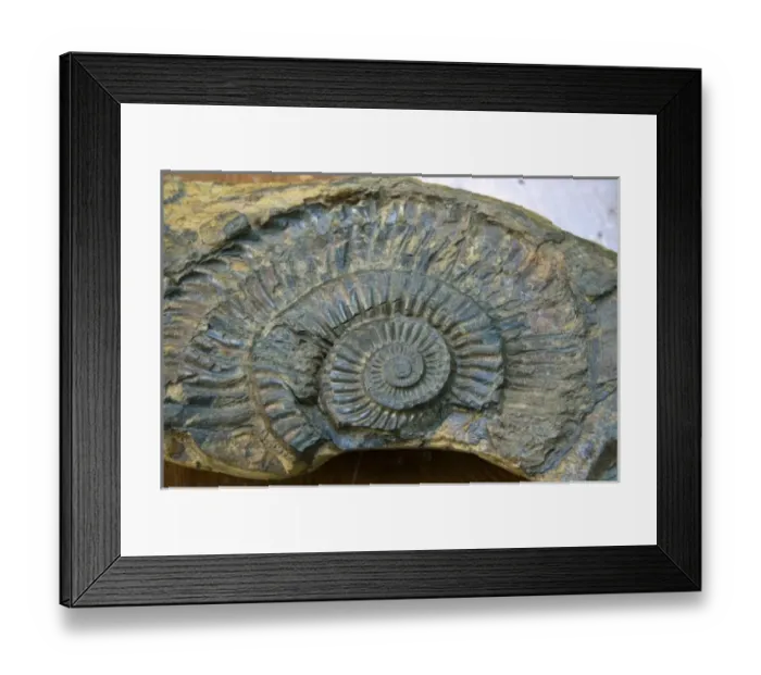 Framed Print : Asia, Vietnam Framed Print : Asia, Vietnam