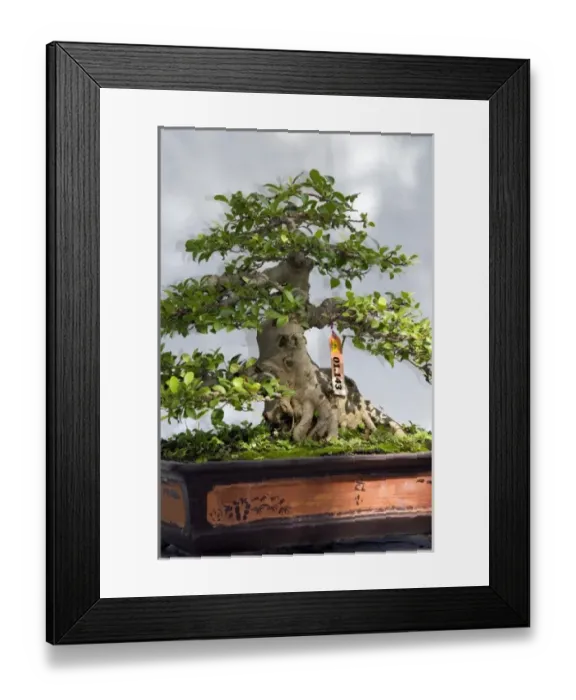 Framed Print : Asia, Vietnam Framed Print : Asia, Vietnam