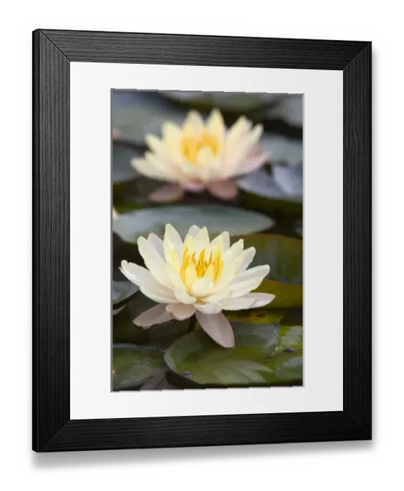 Framed Print : Asia, Vietnam Framed Print : Asia, Vietnam