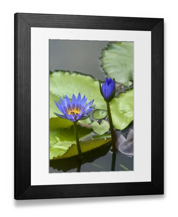 Framed Print : Asia, Vietnam Framed Print : Asia, Vietnam