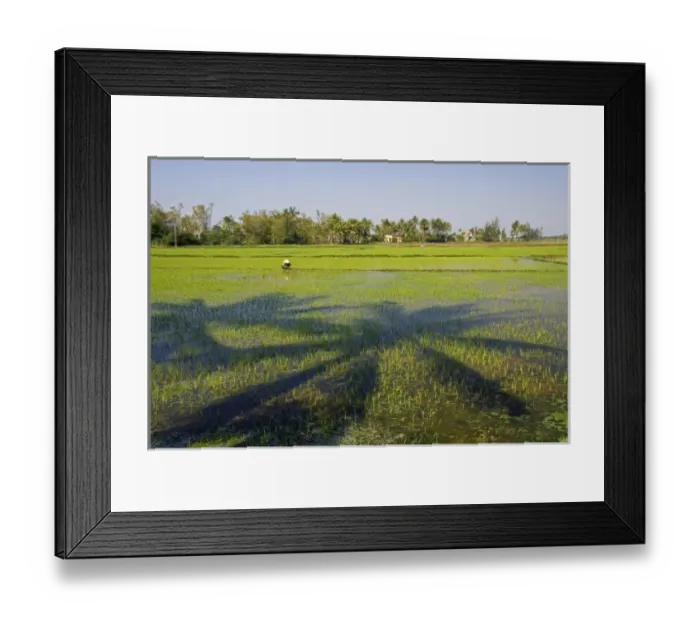 Framed Print : Asia, Vietnam