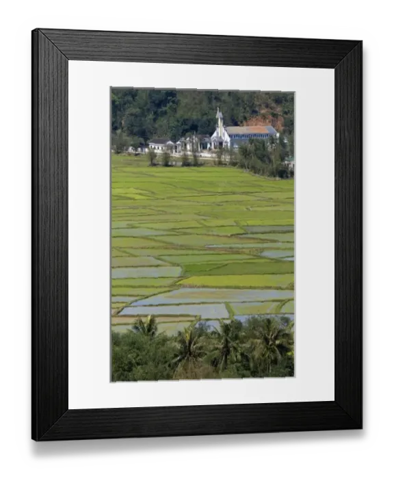 Framed Print : Asia, Vietnam