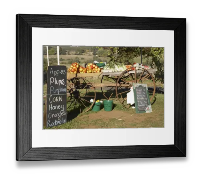 Framed Print : Australia, New South Wales, Fruit Stall, Batlow