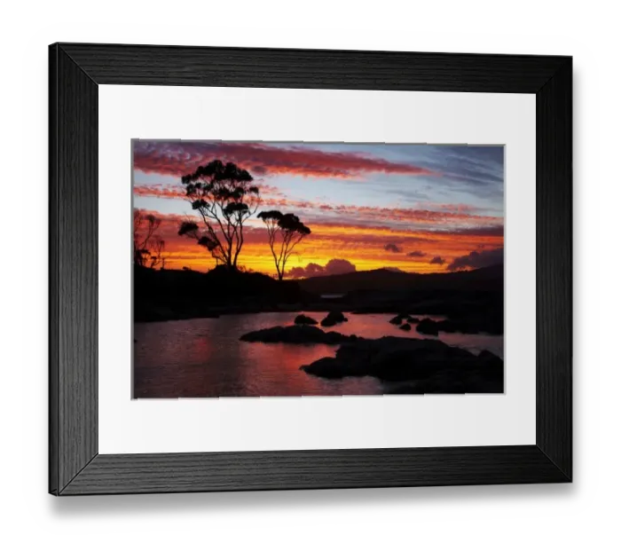 Framed Print : Sunset and Gum Tree, Binalong Bay, Bay of Fires, Eastern Tasmania, Australia Framed Print : Sunset and Gum Tree, Binalong Bay, Bay of Fires, Eastern Tasmania, Australia