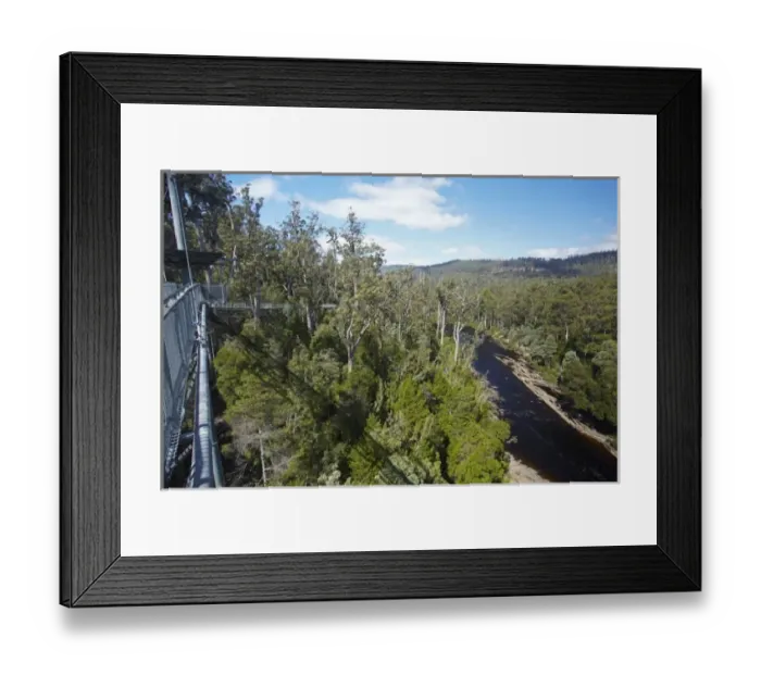 Framed Print : Cantilever, Tahune AirWalk, 48 metres above Huon River and Forest, Tahune Forest Reserve Framed Print : Cantilever, Tahune AirWalk, 48 metres above Huon River and Forest, Tahune Forest Reserve