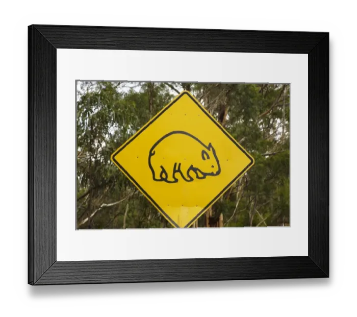 Framed Print : Australia. Wombat warning sign, Tasman Peninsula, Southern Tasmania, Australia