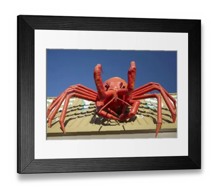 Framed Print : Giant Lobster, Stanley, Northwest Tasmania, Australia