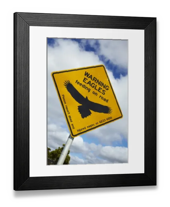 Framed Print : Eagle Warning Sign, Bass Highway near Smithton, Northern Tasmania, Australia Framed Print : Eagle Warning Sign, Bass Highway near Smithton, Northern Tasmania, Australia