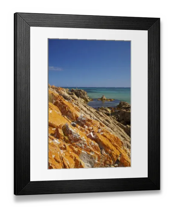 Framed Print : Orange Lichen on Rocks, Green Point, Ann Bay, Marrawah, North Western Tasmania, Australia Framed Print : Orange Lichen on Rocks, Green Point, Ann Bay, Marrawah, North Western Tasmania, Australia