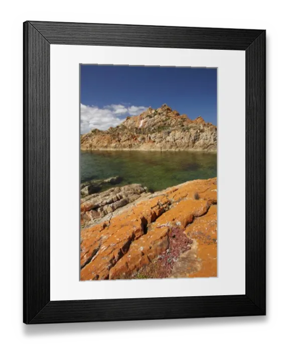 Framed Print : Australia. Orange Lichen on Rocks, West Point, North Western Tasmania, Australia Framed Print : Australia. Orange Lichen on Rocks, West Point, North Western Tasmania, Australia