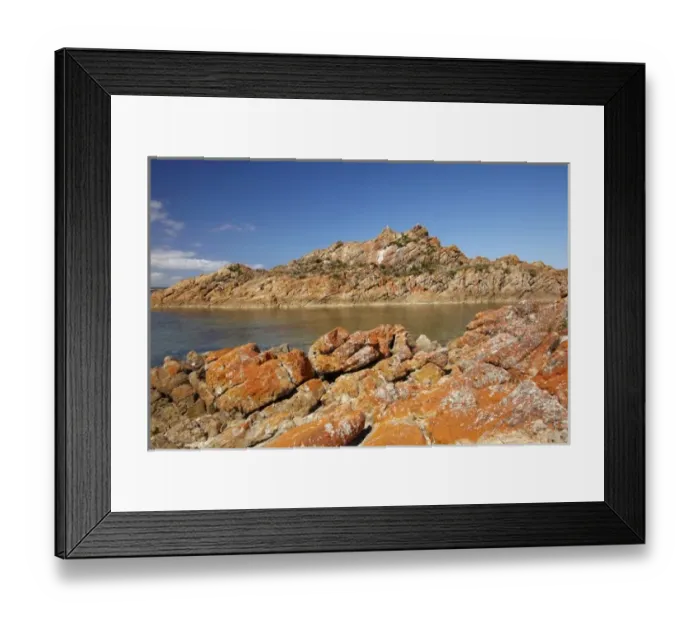 Framed Print : Australia. Orange Lichen on Rocks, West Point, North Western Tasmania, Australia