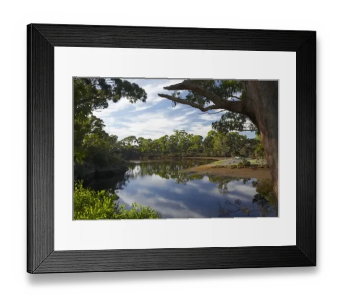 Framed Print : Reflections in Inglis River, Wynyard, North Western Tasmania, Australia Framed Print : Reflections in Inglis River, Wynyard, North Western Tasmania, Australia