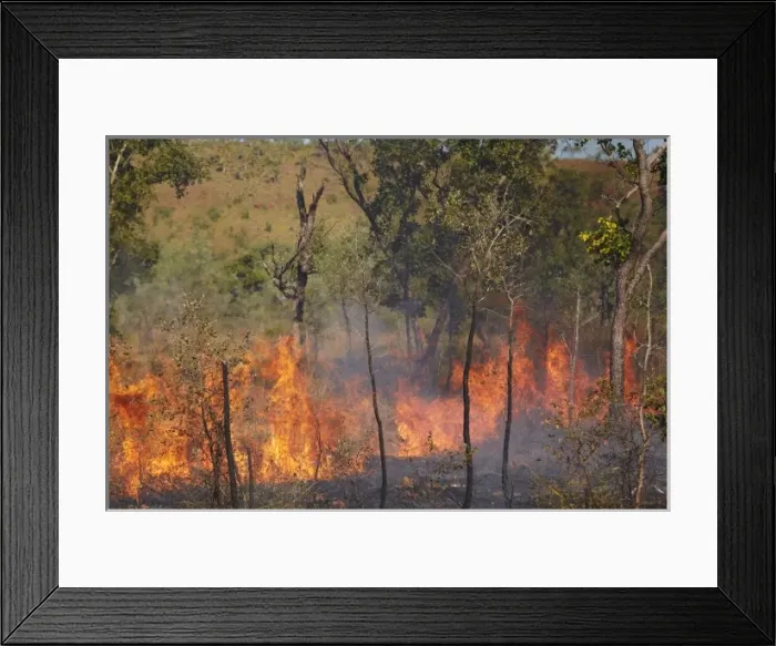 Framed Print : Wildfire, Victoria Highway, near Victoria River, Gregory National Park  /  Jutpurra National Park