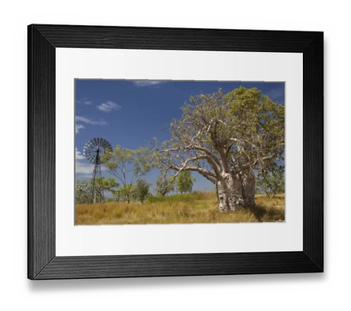 Framed Print : Windmill and boab tree, near Warmun (Turkey Creek), Great Northern Highway, Kimberley Region Framed Print : Windmill and boab tree, near Warmun (Turkey Creek), Great Northern Highway, Kimberley Region
