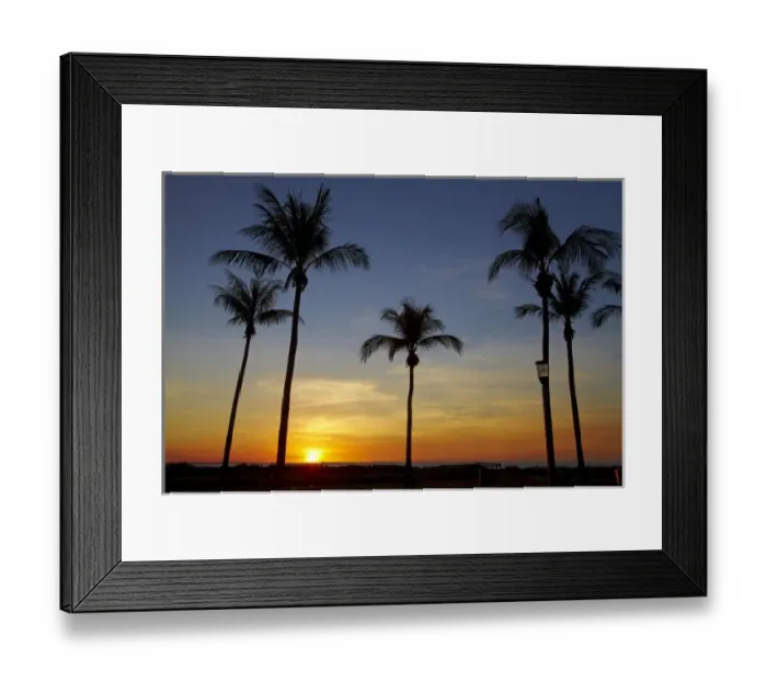 Framed Print : Palm trees and sunset, Mindil Beach, Darwin, Northern Territory, Australia