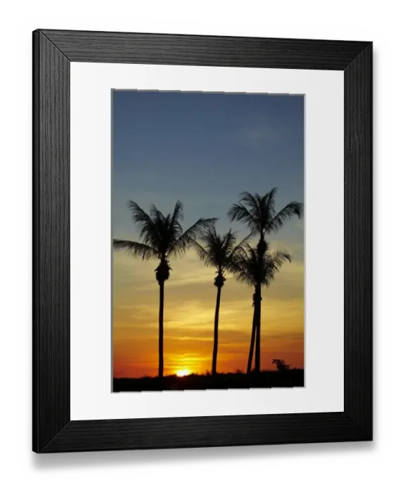 Framed Print : Palm trees and sunset, Mindil Beach, Darwin, Northern Territory, Australia